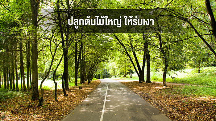 ธนะสตีล_01 ธนะสตีล_01
