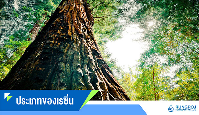 02_รุ่งโรจน์ไฟเบอร์กล๊าส 02_รุ่งโรจน์ไฟเบอร์กล๊าส