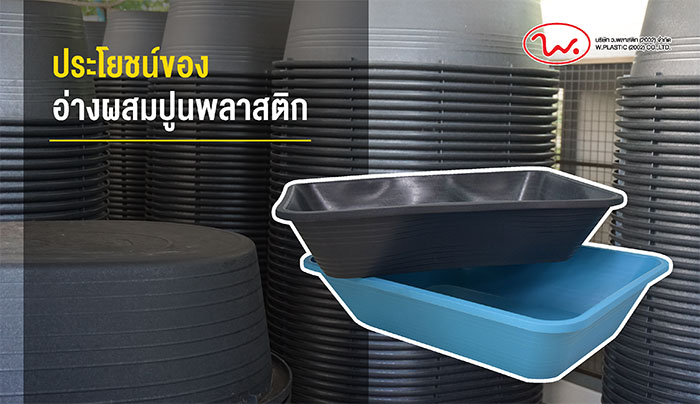 ว พลาสติก_01 ว พลาสติก_01