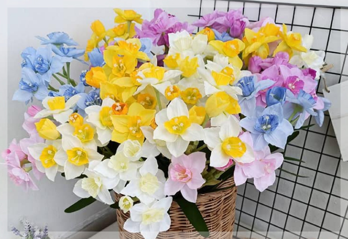 เดฟโฟลิดหรือนาซิสซัส (Daffodil , Narcissus) เดฟโฟลิดหรือนาซิสซัส (Daffodil , Narcissus)