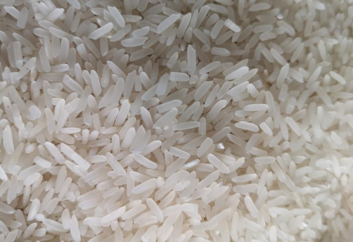 ข้าวหอมมะลิ ข้าวหอมมะลิ
