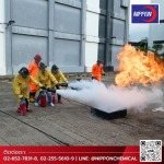 Nippon Chemical Co., Ltd.