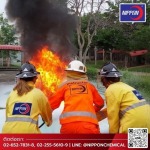 Nippon Chemical Co., Ltd.