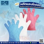 โรงงานถุงมือพลาสติก - โรงงานผลิตและจำหน่ายถุงมือพลาสติก