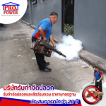 รับพ่นกำจัดยุง กำจัดแมง พัทยา - บริษัทกำจัดปลวก กำจัดแมลง พัทยา ชลบุรี  ระยอง