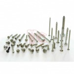 Screw Tapping Stainless - สกรูเกลียวปล่อย สแตนเลส - โรงงานผลิตสกรูน๊อต สมุทรสาคร - ที ซี สกรูน๊อต