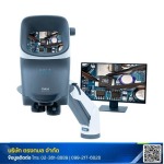 Trongkamol Co., Ltd.