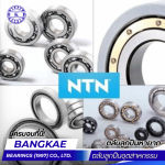 Ball bearing supplier, including rare ball bearings, in Nakhon Pathom.