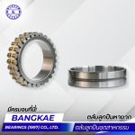 Ball bearing supplier, including rare ball bearings, in Nakhon Pathom.