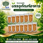 U Pack Green Vision Co, Ltd.