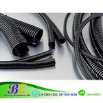 Bonzong Electronic Co., Ltd.