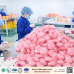 Galong Marketing Co., Ltd.