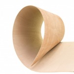 Curved Plywood - Vana Suwan Timber Part., Ltd.