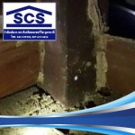 star chemical service