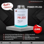 สีรองพื้น Primer PR200 - จำหน่ายอุปกรณ์ระบบสายพานลำเลียงยางดำ