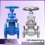 SFC (THAILAND) CO., LTD.