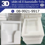 Molded EP foam - 3D INTER PACK COMPANY LIMITED