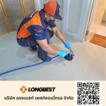 termite control company Longbest Pest Control