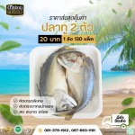 ขายส่งปลาทูแม่กลอง - ดาปลาทูแม่กลอง