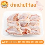 ขายส่งไก่  - บ้านไก่บึงคำพร้อย