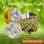 PITSAMAI FROZEN FRUITS COMPANY LIMITED