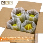 ฟิล์มกันกระแทกแบบเป่าลม (Air Pillow) - ผลิตถุงลมกันกระแทก พลาสติกกันกระแทกแบบเป่าลม Air Bubble 