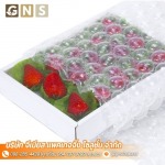 GENIUS PACKAGING SOLUTION CO., LTD.