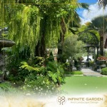 รับออกแบบจัดสวน - infinitegarden