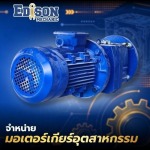Edison Mechanic Company Limited