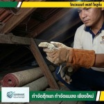 กำจัดตุ๊กแก กำจัดปลวก เชียงใหม่