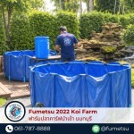 เช่าบ่อผ้าใบกักโรคปลาคาร์ฟ - ฟาร์มปลาคาร์ฟนำเข้าจากญี่ปุ่นแท้ 100% - Fumetsu Koi Farm