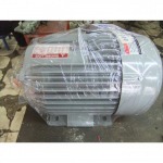 Sell electric motor - A C Motor Co., Ltd.