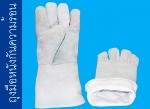 ถุงมือหนังเชื่อมอาร์กอนรัดข้อ - Rajah Glove Co., Ltd. - Industrial Glove manufacturer