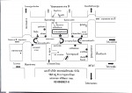 รับขนส่งสินค้า พิจิตร - Sahalomsak Transport Co., Ltd.