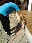 บริษัทกำจัดปลวก ราชบุรี - Hans Pest Control Service Co Ltd