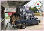 เซฟทีคัท แม่สอด พีเคพีอิเลคทริค - PKP Electric Mae Sot