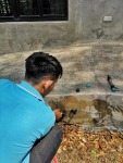 ฉีดพ่นน้ำยากำจัดปลวก ก่อนสร้างบ้าน - Termite Control Phichit - HANS