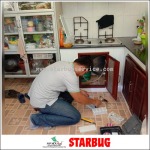 กำจัดปลวกด้วยเอ็กซ์เทอม - Starbug Pest Control (2018) Co., Ltd.