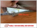 ฉีดพ่นน้ำยาก่อนการก่อสร้าง - รับกำจัดปลวกนนทบุรี - JMW เซอร์วิส