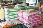 ขายส่งเมล็ดพันธ์ข้าว ตราฟาร์เมอร์ ไรซืโกลด์ พิษณุโลก - ร้านขายเมล็ดพันธุ์ข้าว พิษณุโลก-วังเป็ดเกษตรยนต์