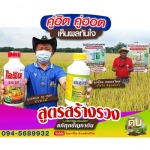ชุดคู่แท้กระท่อมไทย สูตรใบดก - โรงงานผลิตปุ๋ยน้ำ OEM-นิริน อินเตอร์เทรด