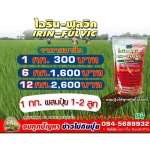 ราคาไอรินฟูลวิคและอัตราการใช้ - โรงงานผลิตปุ๋ยน้ำ OEM-นิริน อินเตอร์เทรด