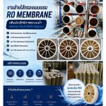 งานล้างไส้กรองเมมเบรน  RO Membrane