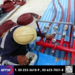 บริการตรวจเช็คสายดับเพลิง ทำ HYDROSTATIC TEST - บริษัทขายเครื่องดับเพลิง ถังดับเพลิง - นิปปอน