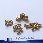 รับผลิตชิ้นงานทองเหลือง - รับกลึง CNC ชิ้นส่วนอะไหล่อุตสาหกรรมตามแบบ-ยูเนียน เมทัล โปรดักส์
