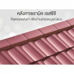 กระเบื้องหลังคาเซรามิค scg - ตัวแทนจำหน่าย SCG Authorized Dealer กรุงเทพ SCG Housing Expert