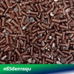 โรงชุบโลหะ พระราม2