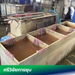 รับทำบ่อชุบตามสั่ง - โรงชุบโลหะ อุปกรณ์ชุบมือสอง - ศรีวิชัยโลหะกิจ