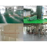 งานเคลือบไฟเบอร์กลาส ระยอง - บริษัท ไทยเซอร์วิสเพ้นท์ จำกัด