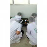 วางระบบป้องกันและกำจัดปลวก - บริษัท เอสที เคมีคอล เซอร์วิส จำกัด 